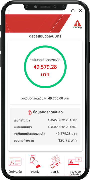 Check Balnace Service